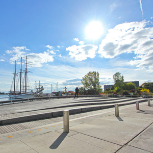 Spadina WaveDeck